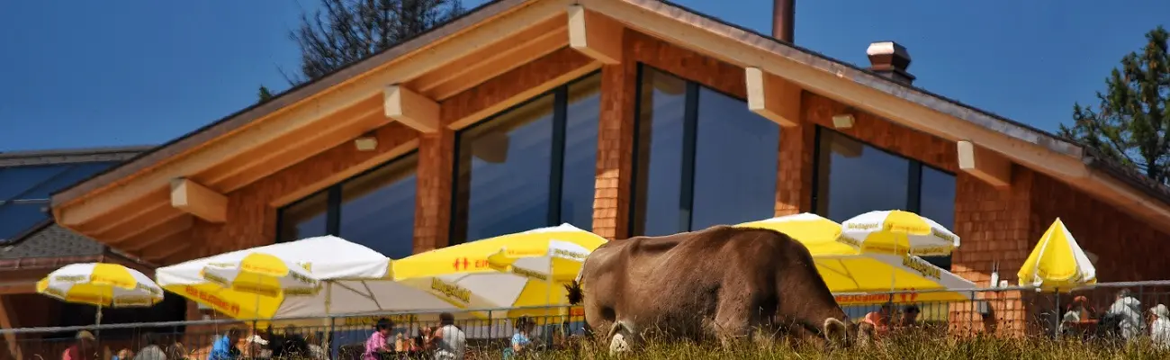 Restaurant Gipfelstubli Sommer Mythenregion