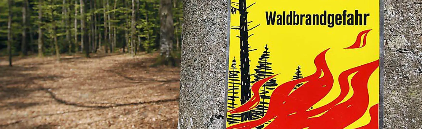 Waldbrandgefahr